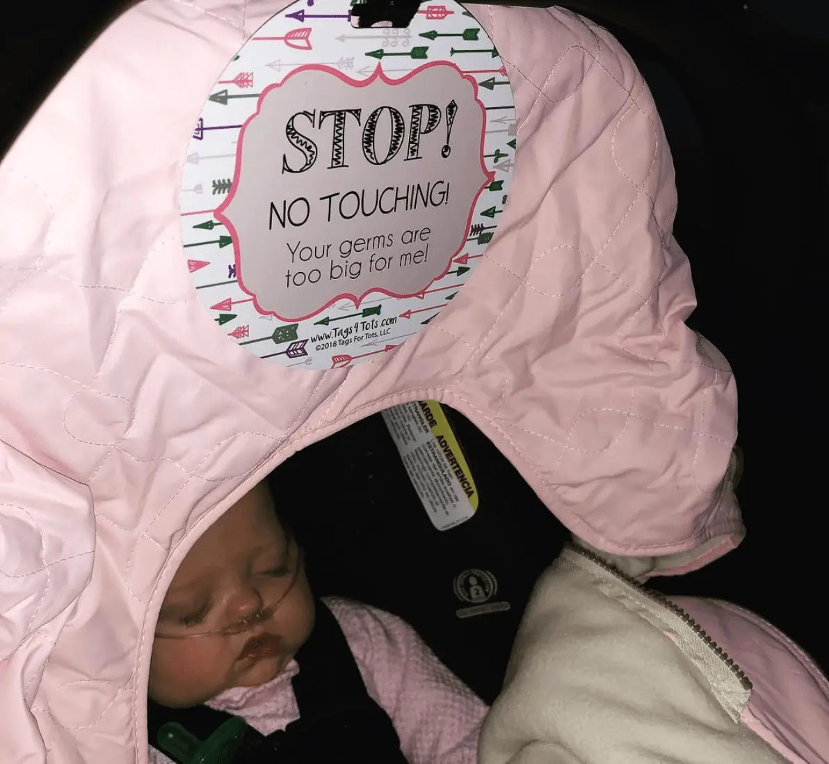 Three Little Tots Girl Arrows Stop No Touching Newborn Baby Car Seat Sign Tag - 
