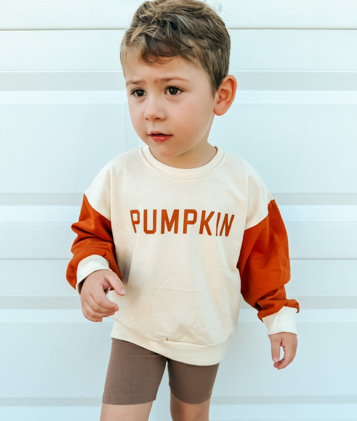 Cotton Fleece Crewneck Sweatshirt - Colorblock