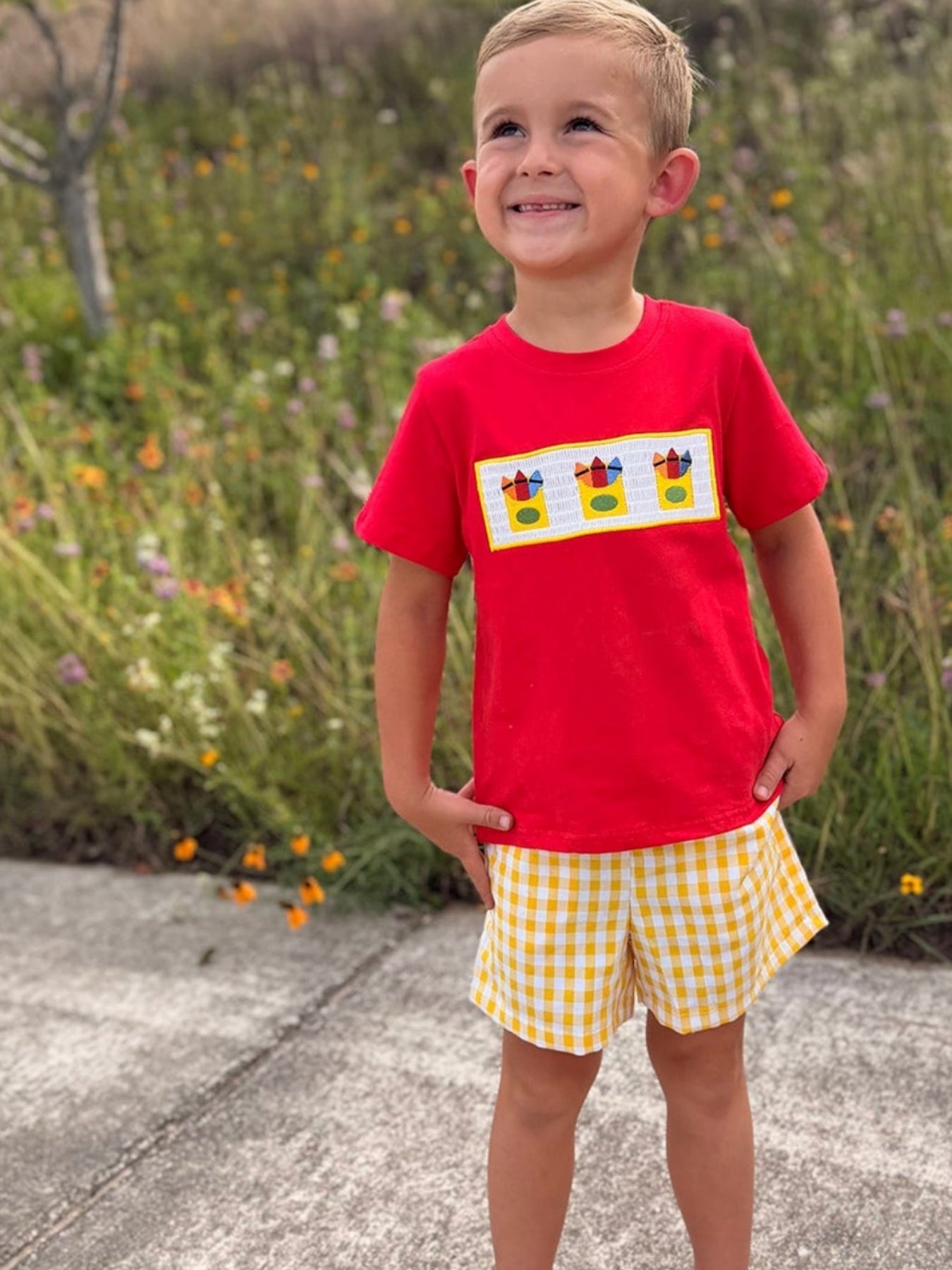 Back to School Crayon Smocked Boys Plaid Shorts Set by Rylee Faith Designs at Everetts Place