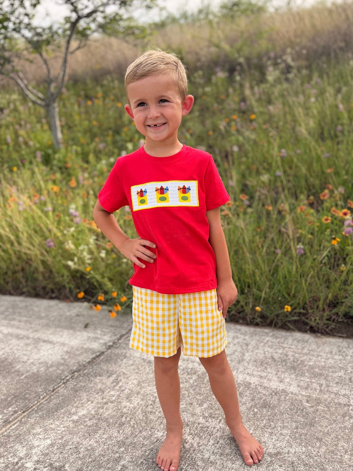 Back to School Crayon Smocked Boys Plaid Shorts Set - Sleeve, T-shirt, Summer, Happiness, Child | Everetts Place