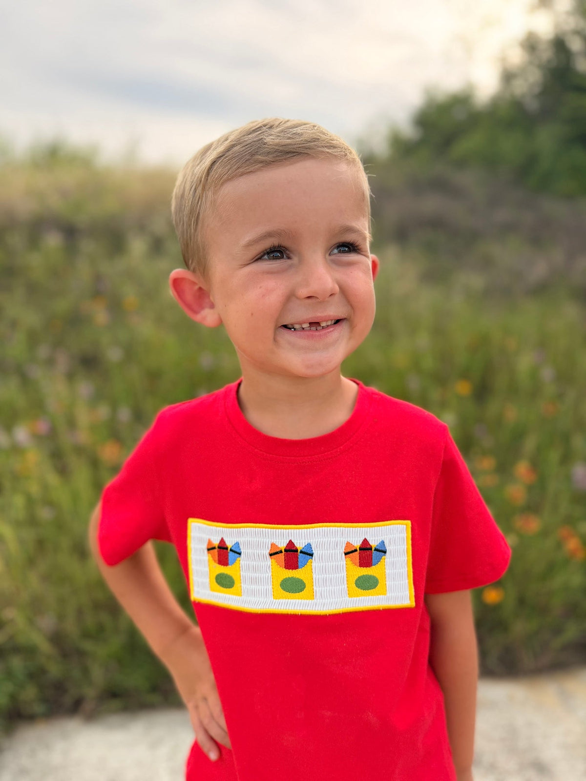 Back to School Crayon Smocked Boys Plaid Shorts Set by Rylee Faith Designs at Everetts Place