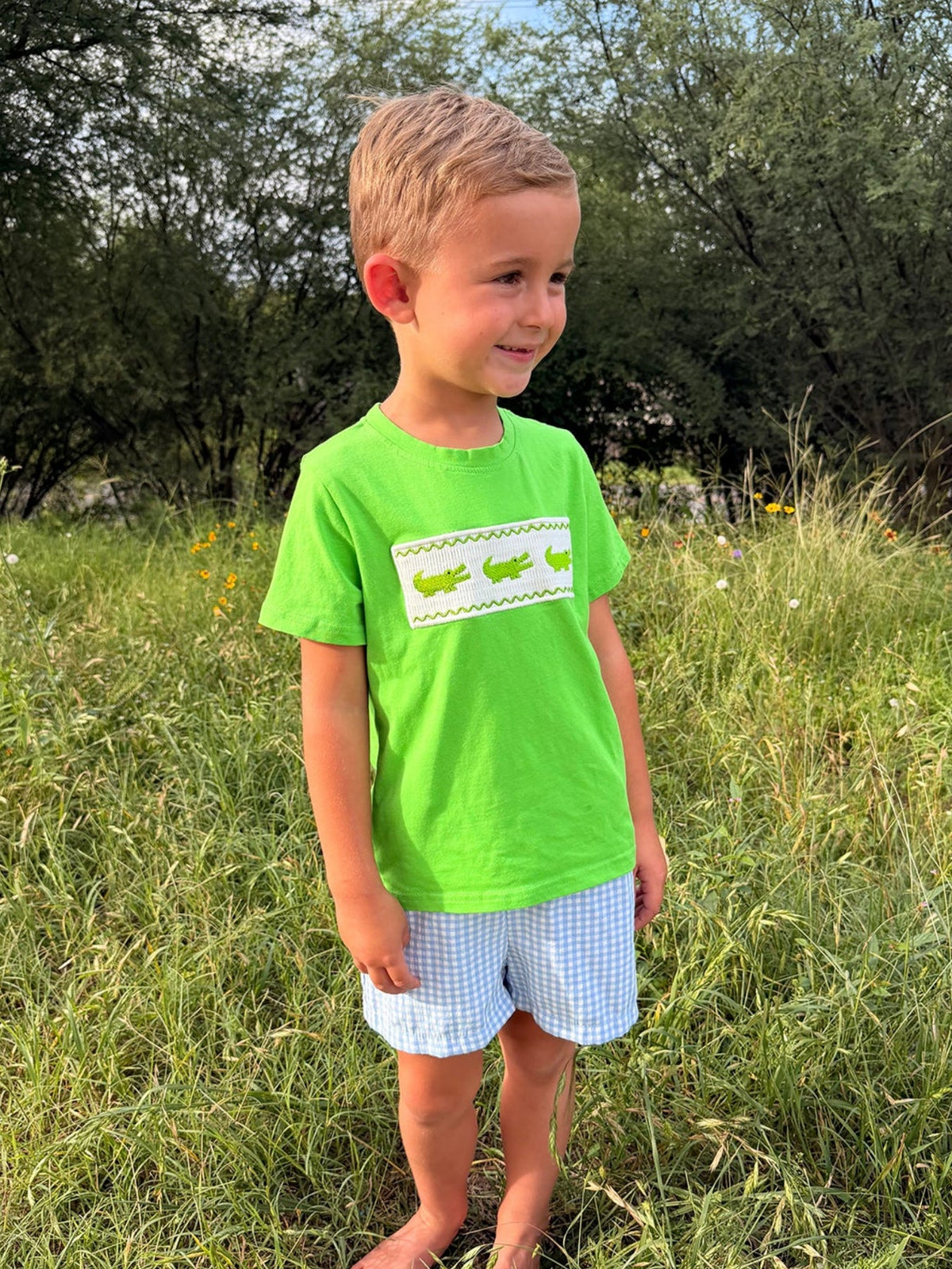 Toddler Boys Summer Crocodile Embroidered Plaid Shorts Set by Rylee Faith Designs at Everetts Place