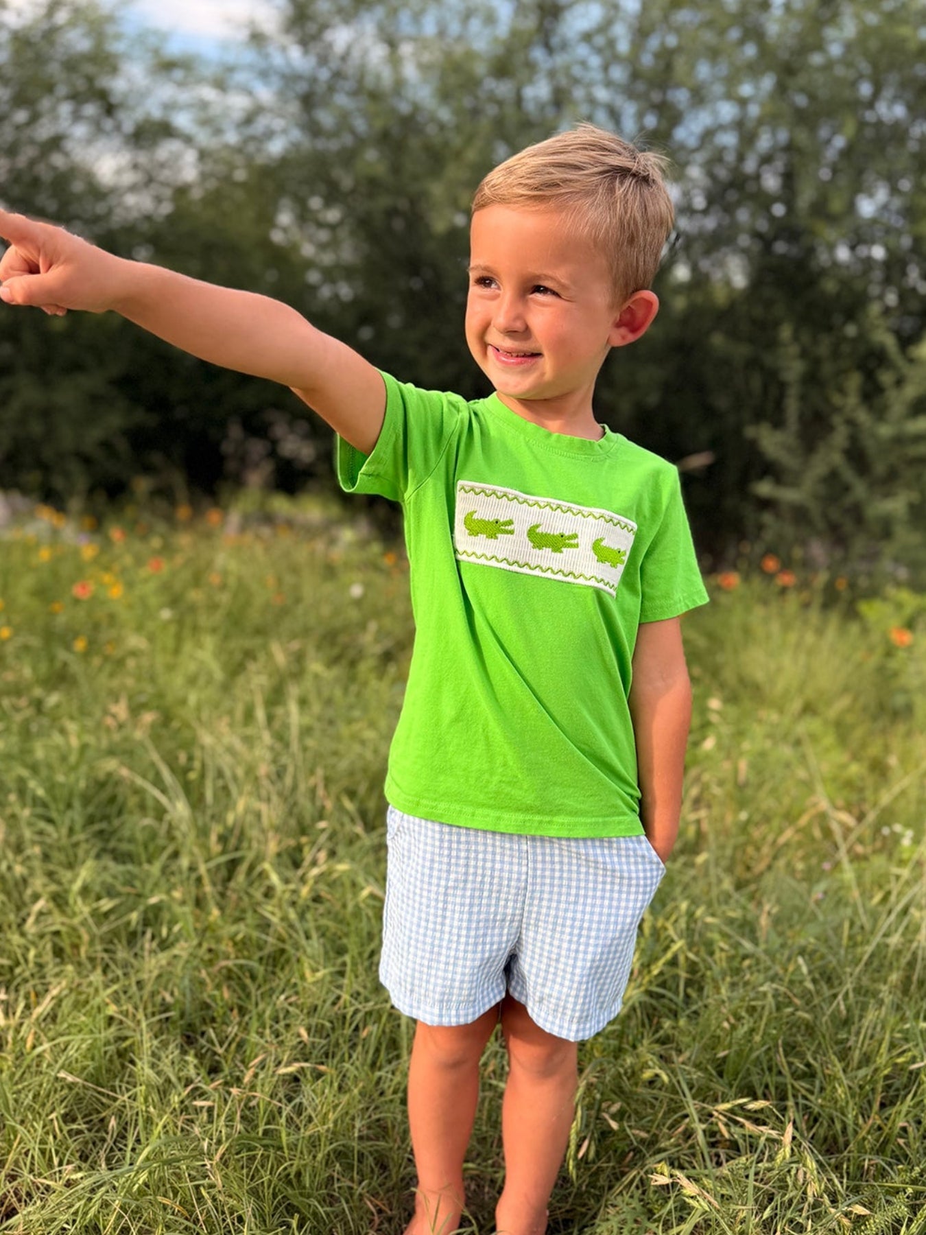 Toddler Boys Summer Crocodile Embroidered Plaid Shorts Set by Rylee Faith Designs at Everetts Place