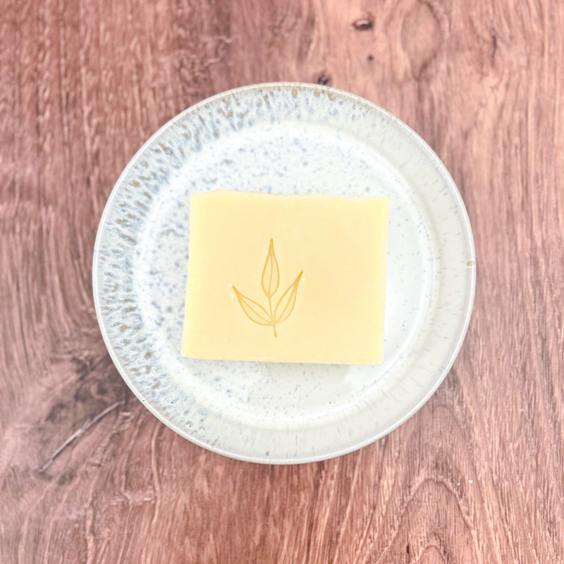 Solid dish soap bar on white ceramic dish.