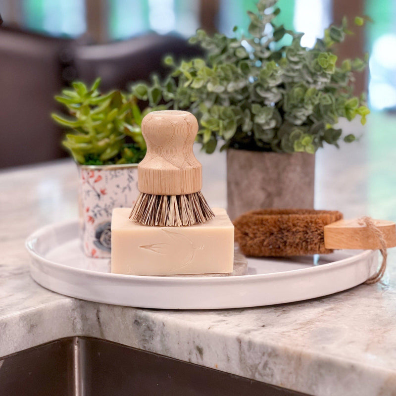 Solid dish soap on a dish with a bamboo brush and plants in the background.