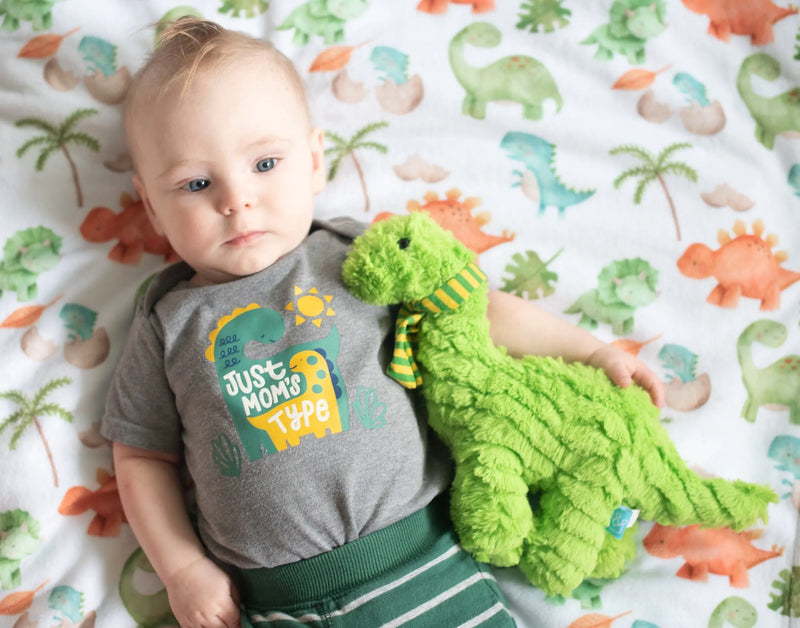 Premium baby and toddler minky blanket with a dinosaur pattern.