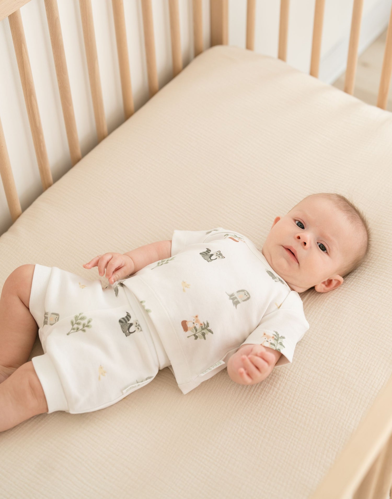 Organic Cotton Short Sleeve Shirt, Forest Friends