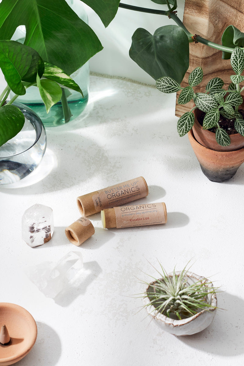 Kissable Lips chapstick lip balm in eco-friendly paperboard tube surrounded by plants.