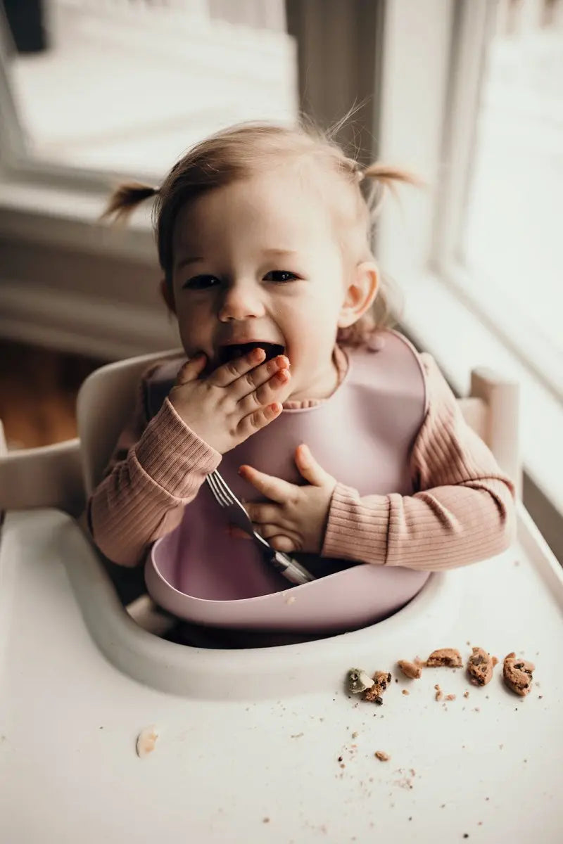 Three Little Tots Lilac Silicone Bib with Crumb Catcher - 