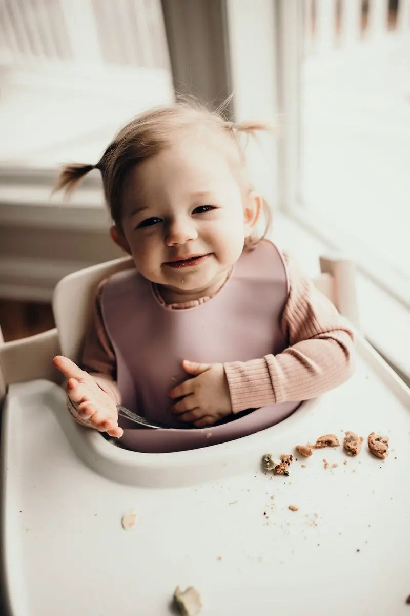 Three Little Tots Lilac Silicone Bib with Crumb Catcher - 