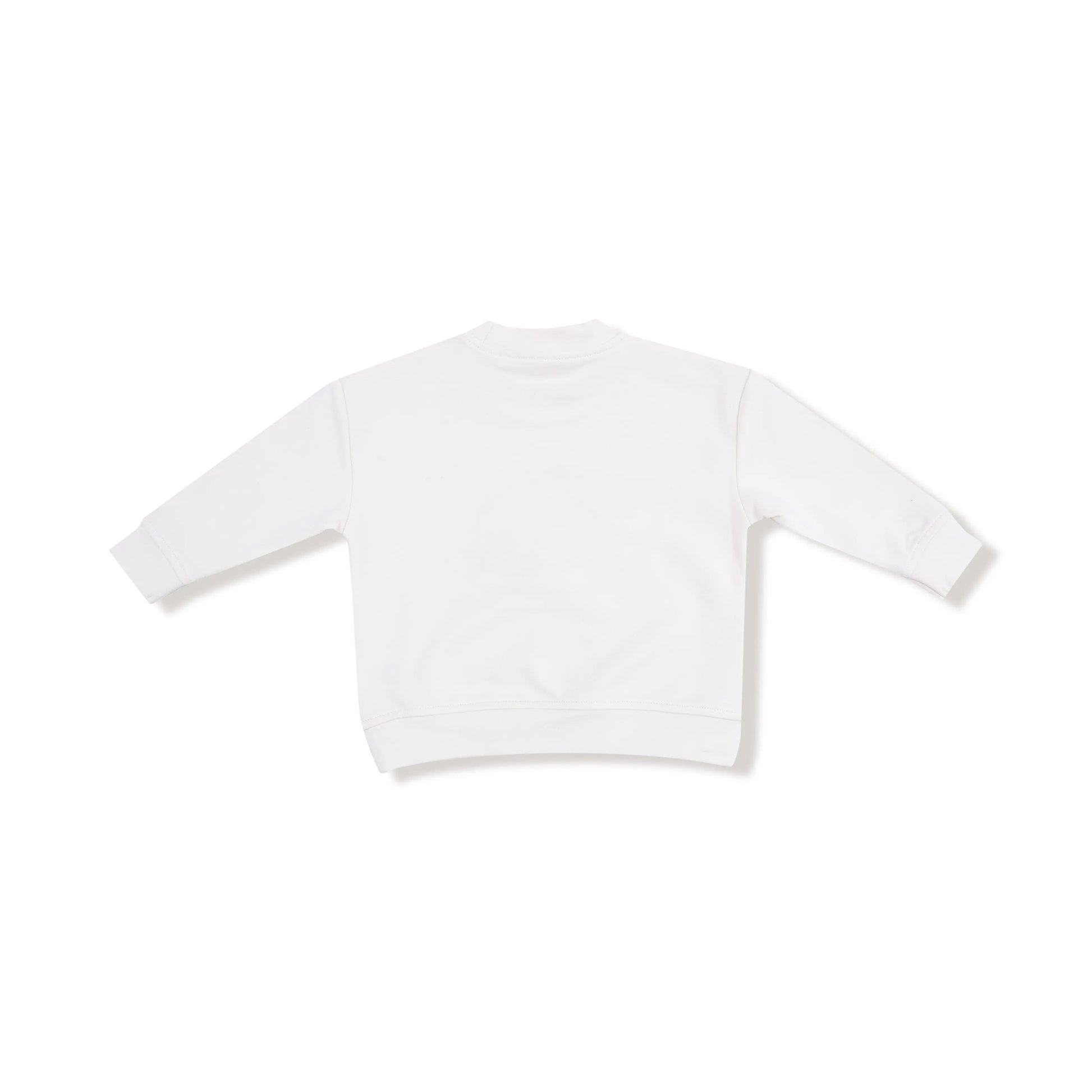Little Pumpkin Drop Sleeve Sweatshirt for Fall Cozy Angel Dear Everetts Place: Online Boutique