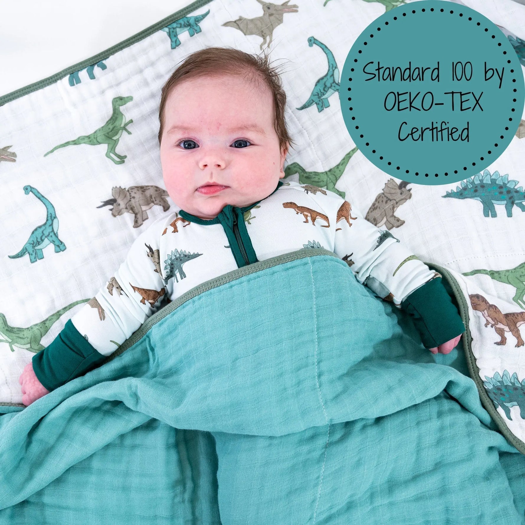 LollyBanks Have A T - rexcellent Day Muslin Baby Blanket - 
