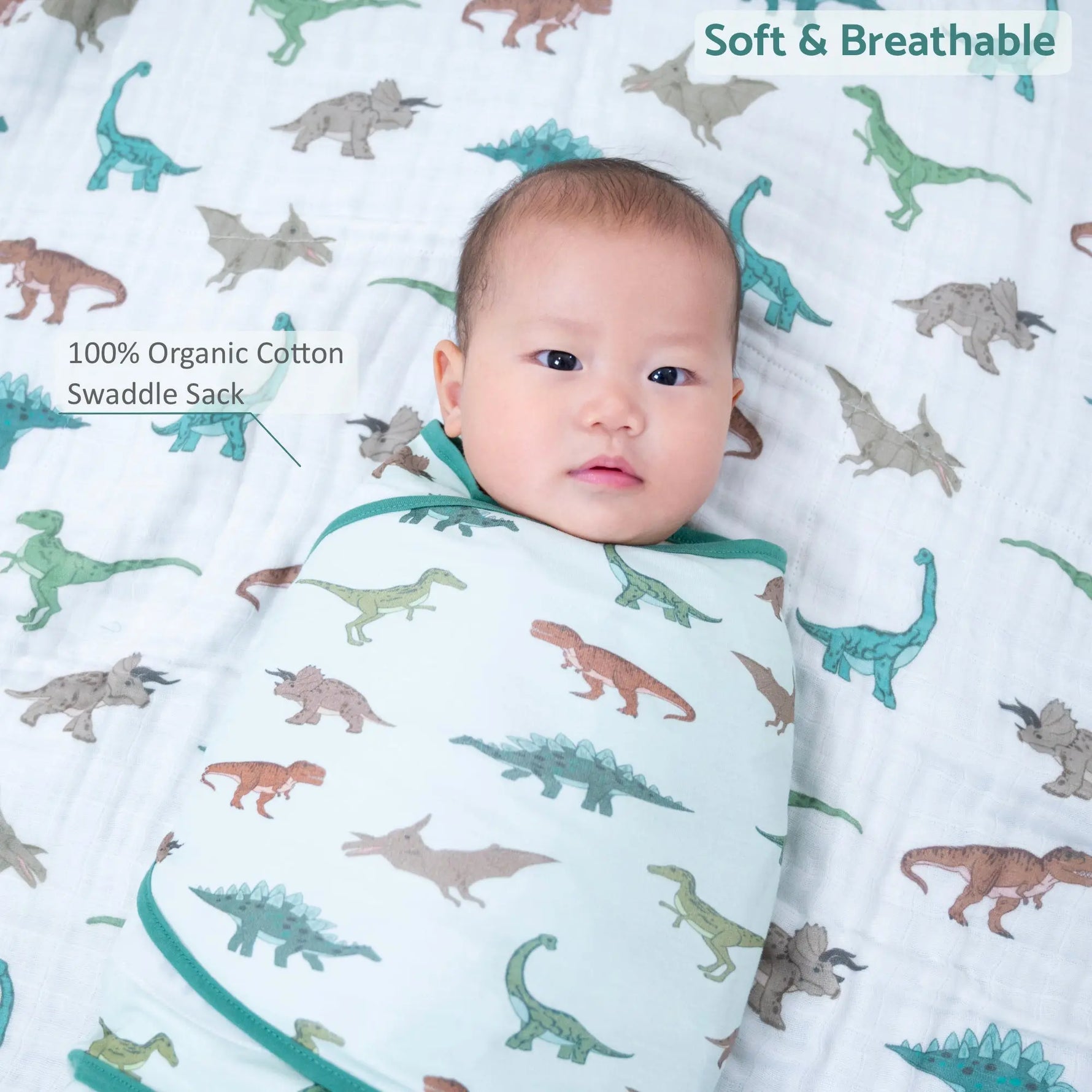 LollyBanks Have A T - rexcellent Day Baby Sleep Swaddle 100% Organic Cotton - 