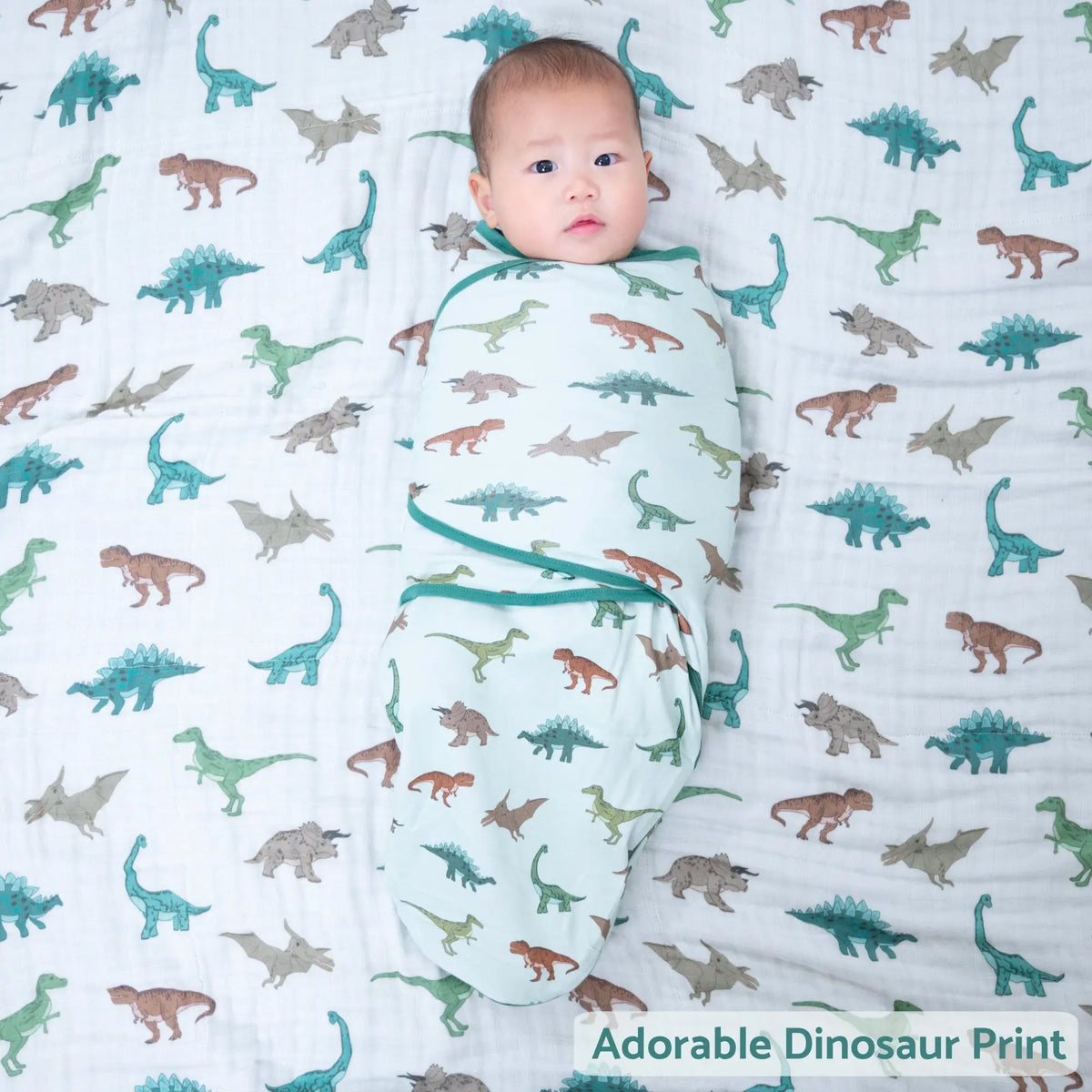 LollyBanks Have A T - rexcellent Day Baby Sleep Swaddle 100% Organic Cotton - 
