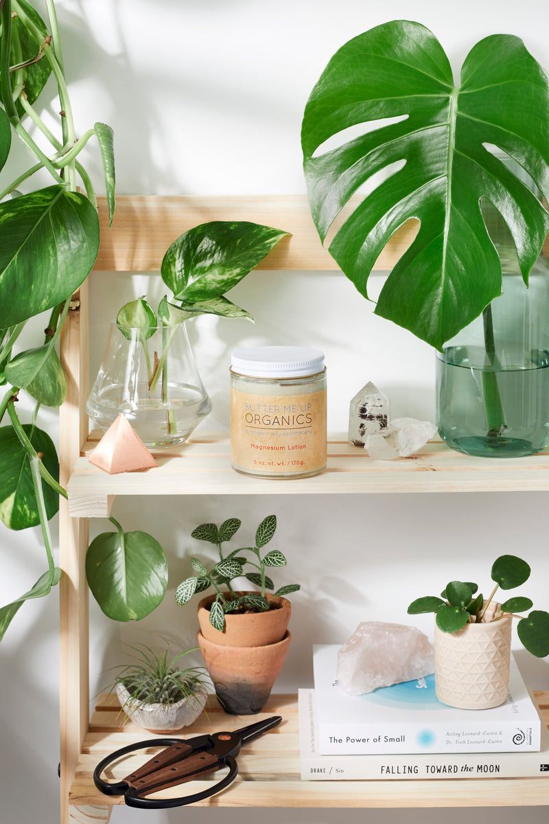 Organic Magnesium Lotion in glass jar on wooden shelf, surrounded by potted plants and books.