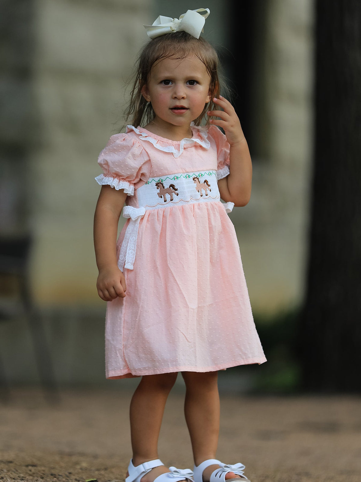 Western Horse Embroidery Girls Dress Lace Petals Collar Puff Sleeve by Rylee Faith Designs at Everetts Place