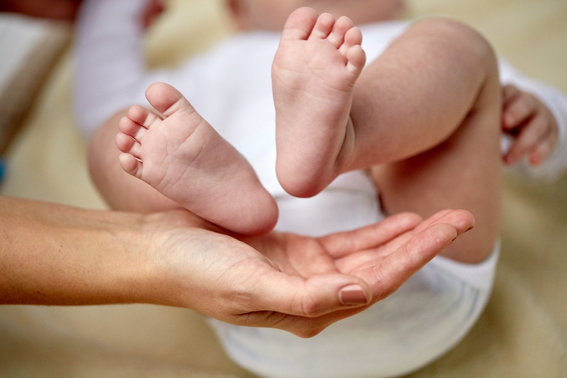 Oh Baby Oh Organic Diaper Balm For Diaper Rash And Skin Sweet Harvest Farms Everetts Place: Online Boutique