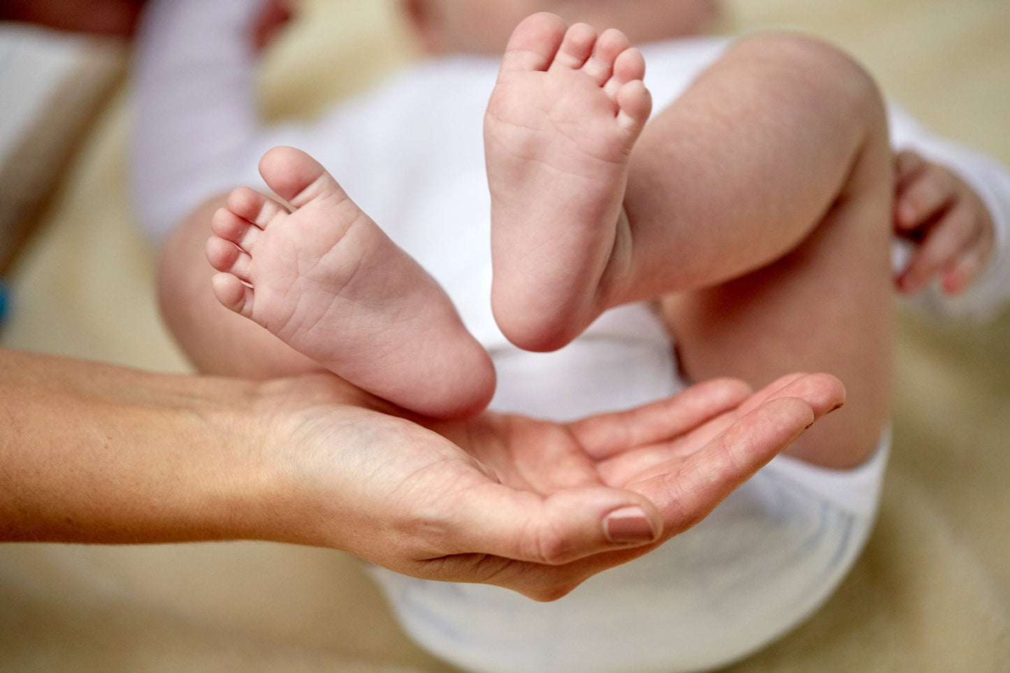 Oh Baby Oh Organic Handmade Baby Lotion Sweet Harvest Farms Sweet Harvest Farms Everetts Place: Online Boutique