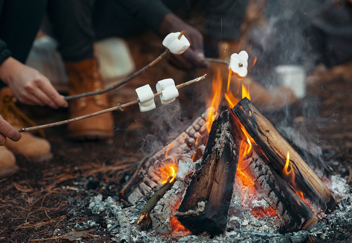 Organic Campfire and Fireflies Handcrafted Soap Aromatic Sweet Harvest Farms Everetts Place: Online Boutique