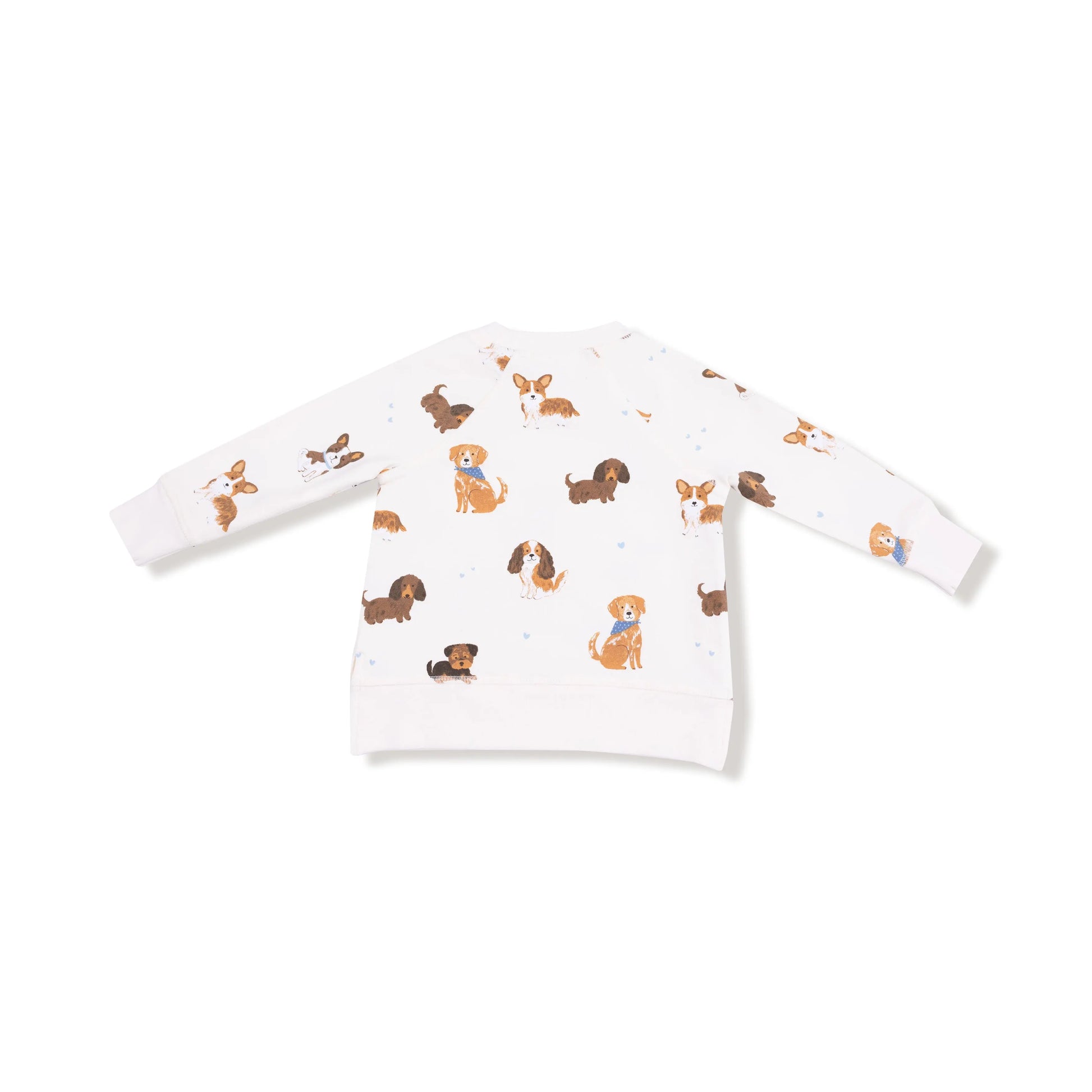 Organic Cotton Raglan Sweatshirt And Jogger Set For Kids Angel Dear Everetts Place: Online Boutique