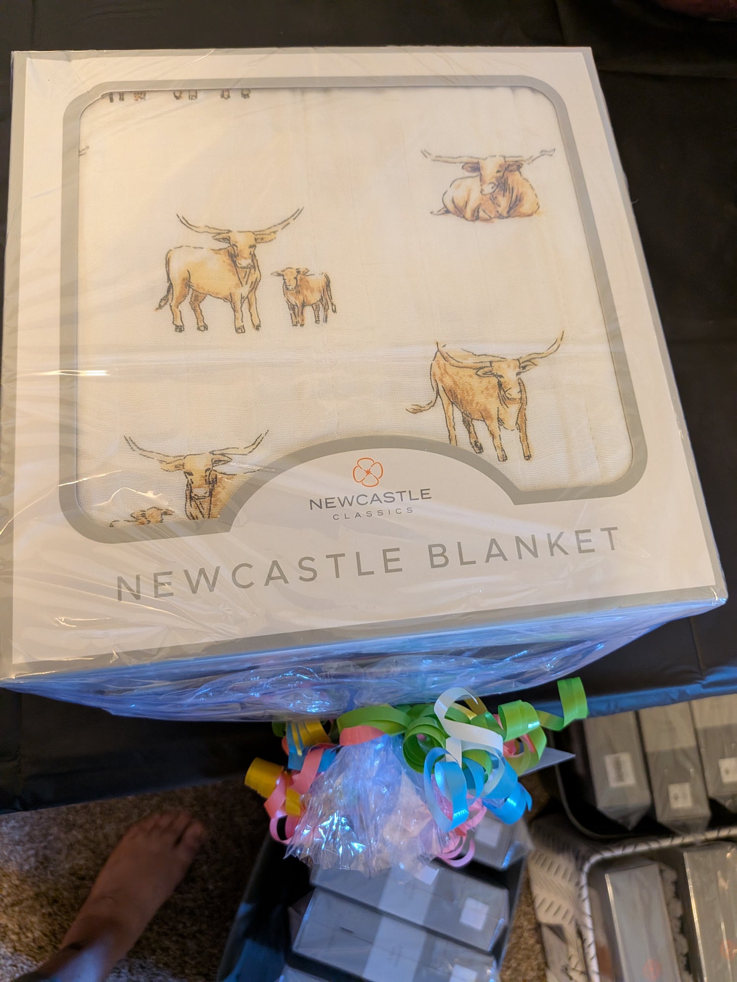 The Longhorn Print Baby Blanket Gift Set