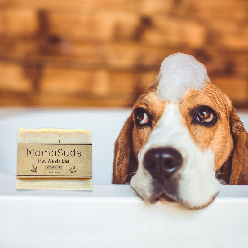 Pet wash bar unscented with a dog in bath, 5 oz bar, vegan, biodegradable.