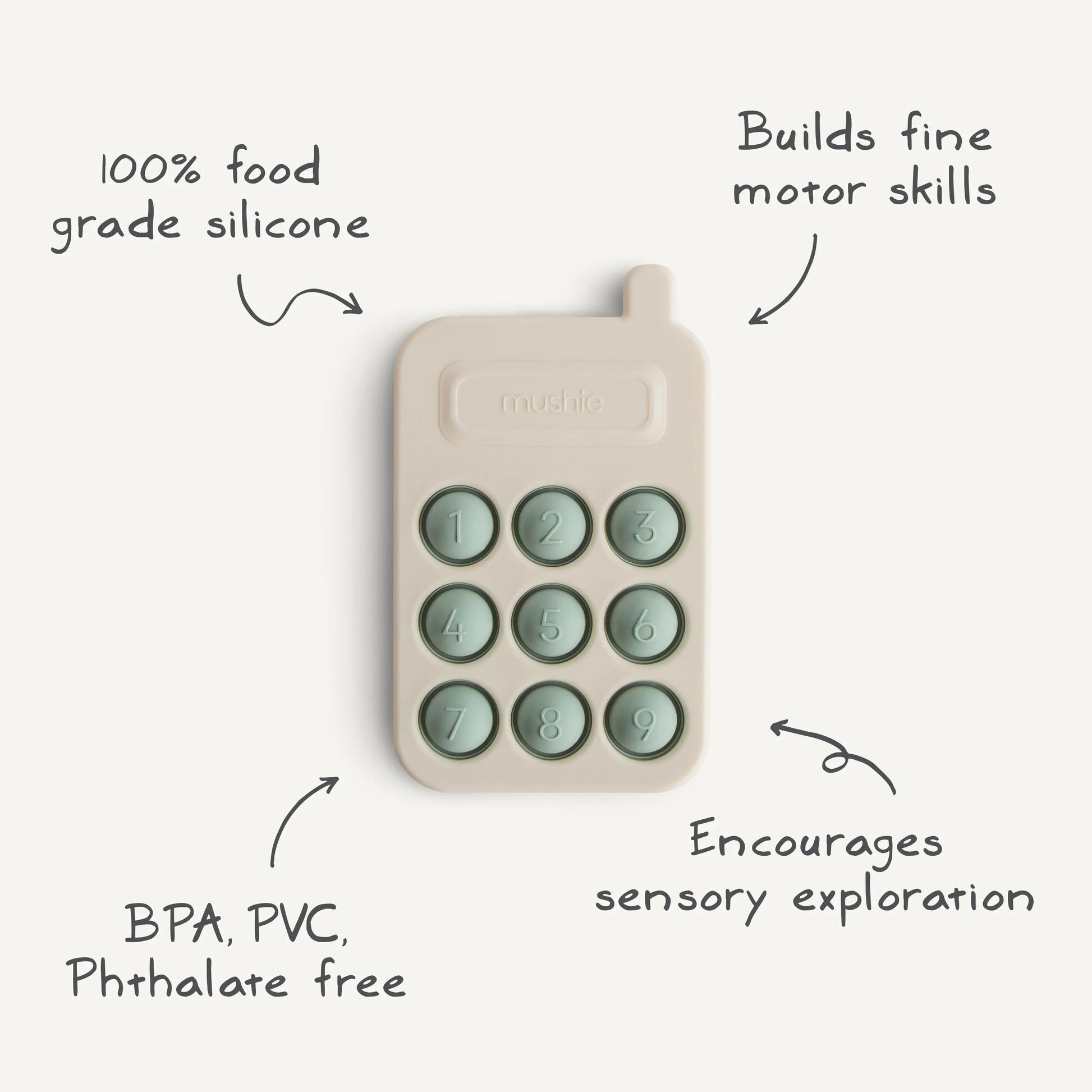 Phone Press Toy for Sensory Exploration and Fine Motor Skill Development Mushie Everetts Place: Online Boutique