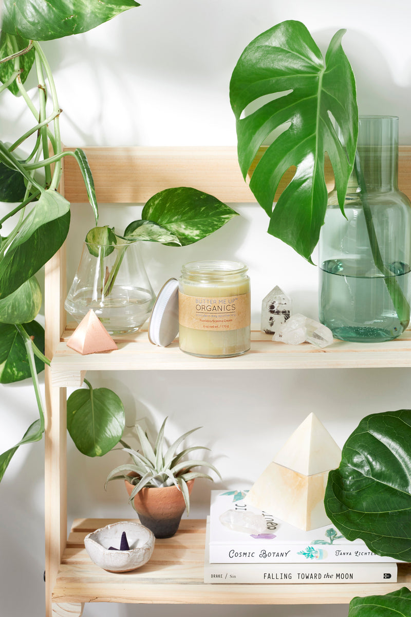Sensitive skin cream jar on a wooden shelf surrounded by green plants and decorative items.