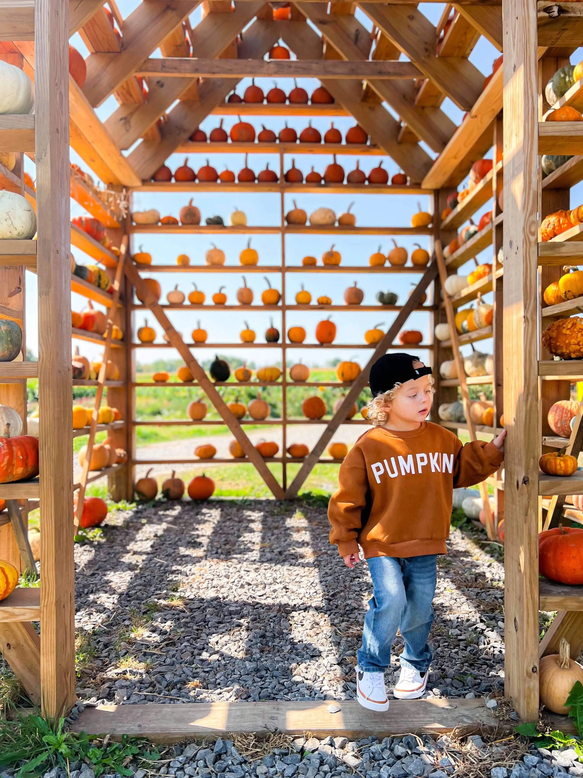 Pumpkin Graphic Crewneck Sweatshirt For Kids Cotton Fleece Little Joy Co. Everetts Place: Online Boutique