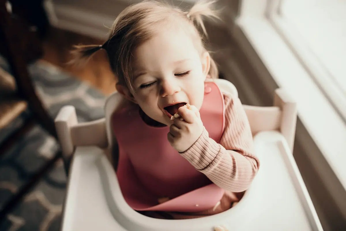 Three Little Tots Rose Silicone Bib with Crumb Catcher - 