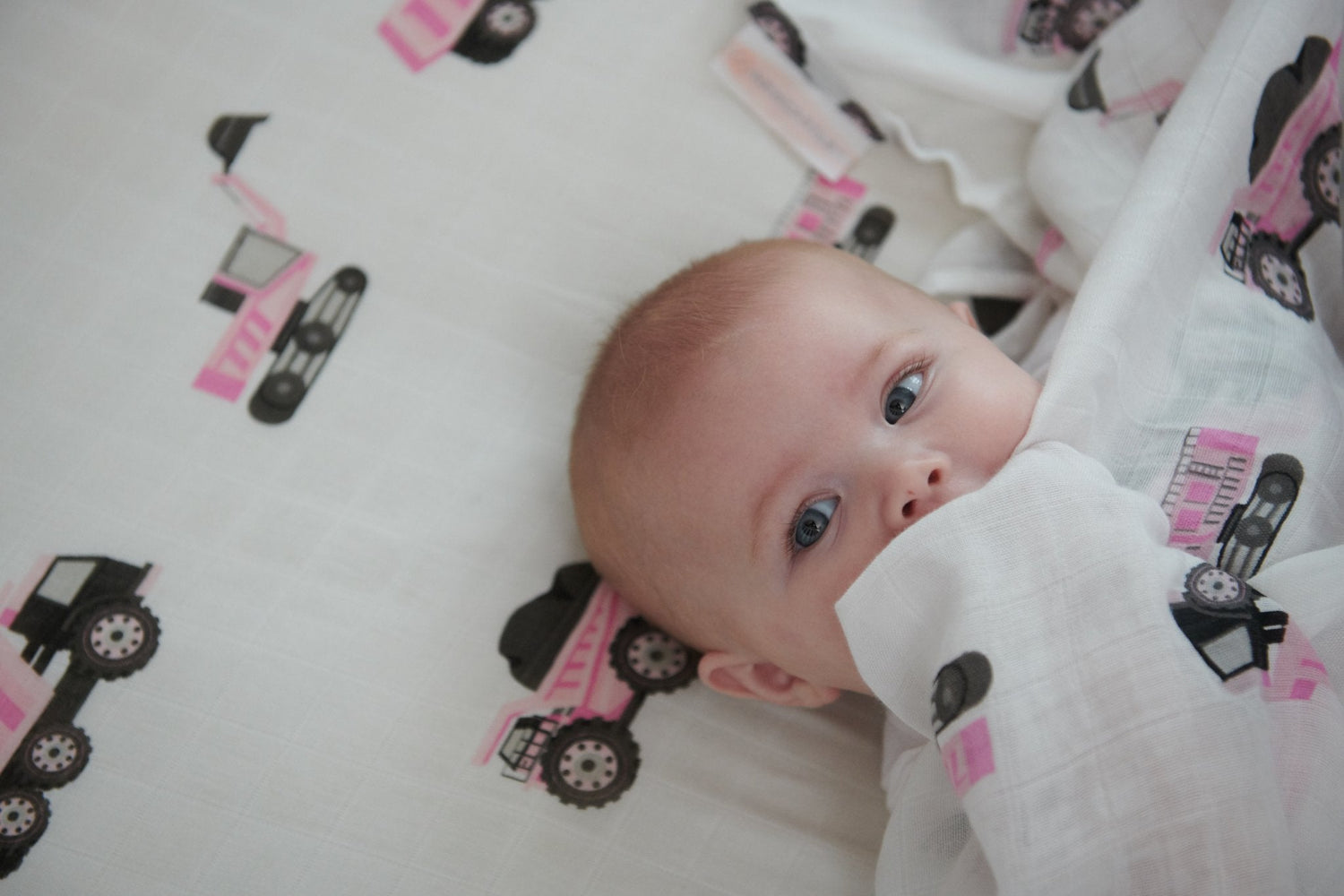 Organic Pink Digger Bamboo Crib Sheet by Newcastle Classics at Everetts Place