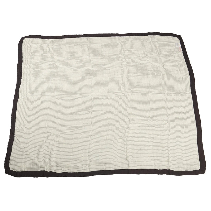 Peek-A-Boo Cats and Pencil Stripe bamboo muslin blanket for kids.