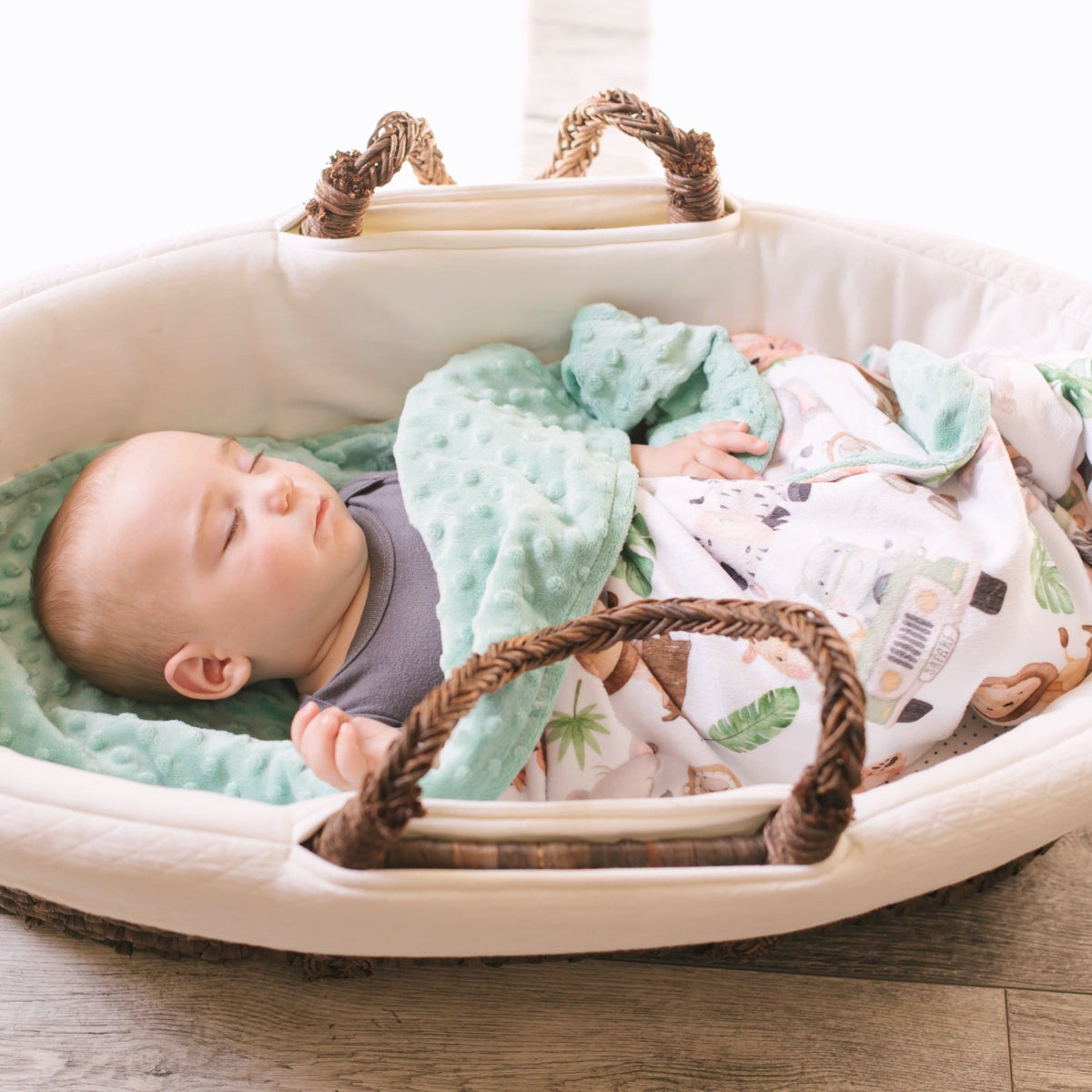 Minky Baby Blanket Safari by Honey Lemonade at Everetts Place