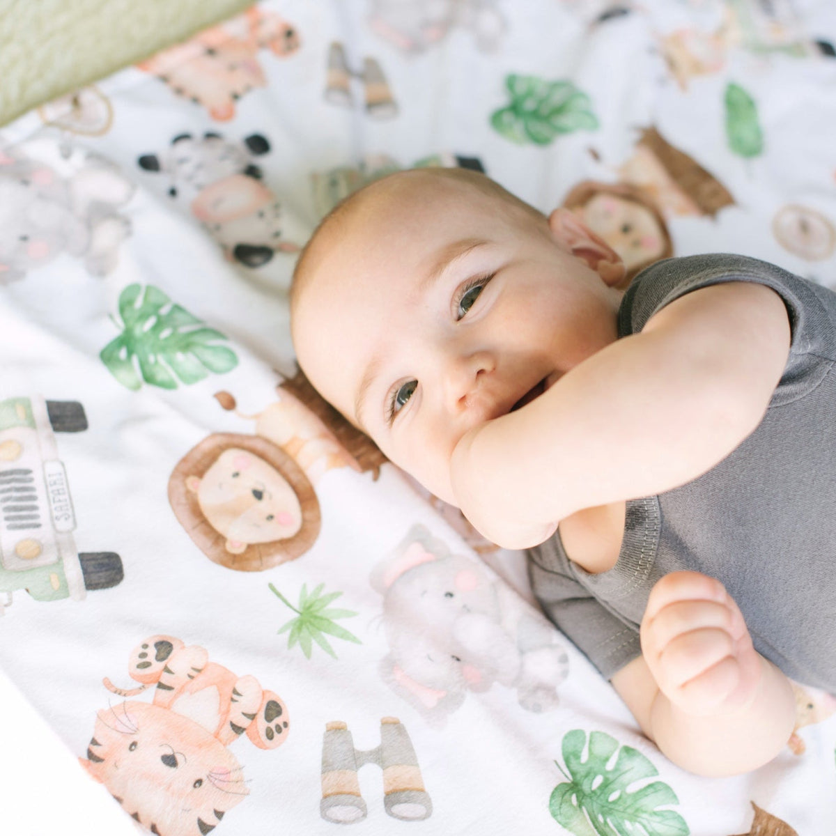 Minky Baby Blanket Safari by Honey Lemonade at Everetts Place