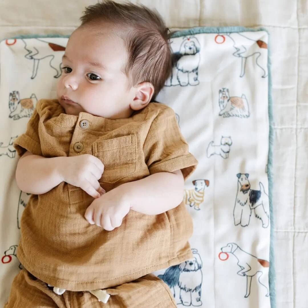 Saranoni Saranoni Minky Lush Mini Blankets Dual Texture Bow Design - Everetts Place Boutique - 