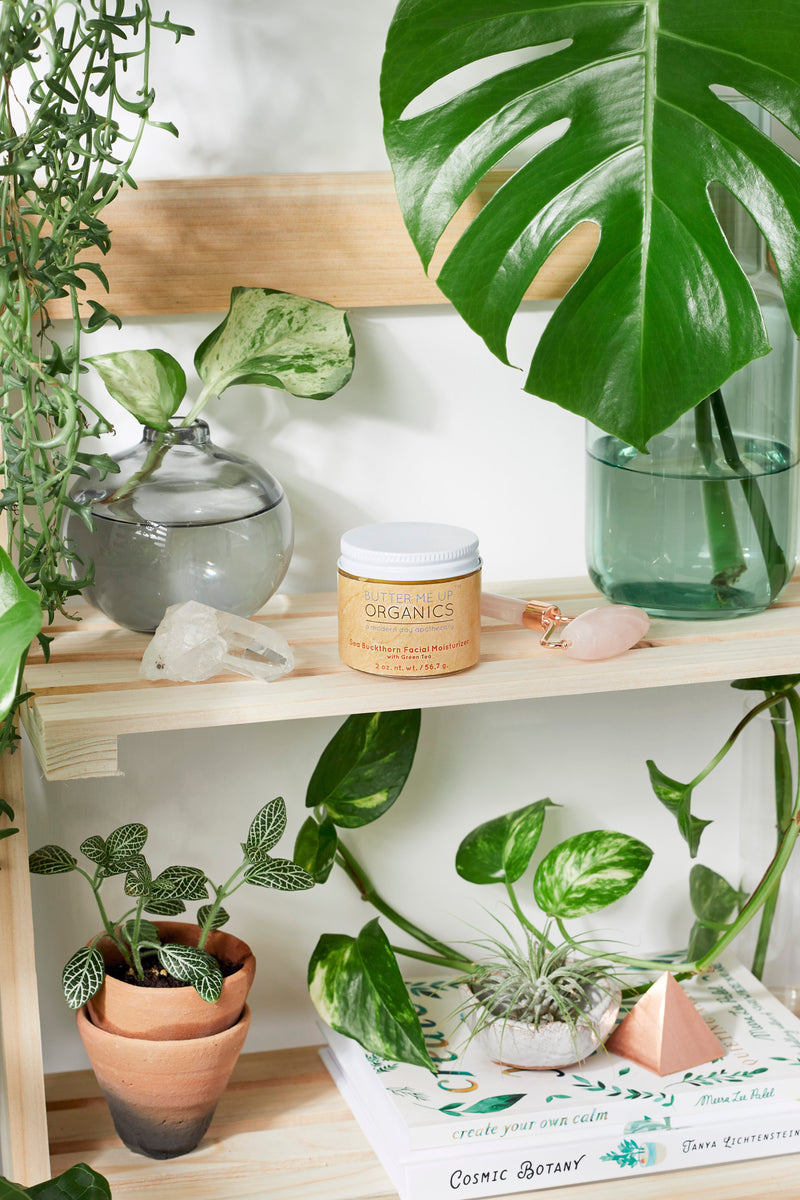 Sea Buckthorn Facial Moisturizer displayed on a wooden shelf with plants and crystals, reflecting a natural and organic skincare ambiance.