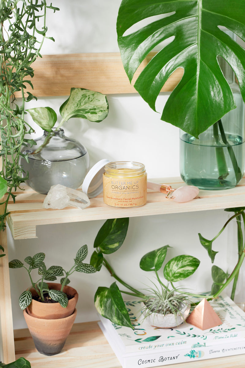 Sea Buckthorn Facial Moisturizer in a glass jar on a wooden shelf with lush green plants.