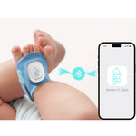 Smart Sock Shoe Bundle (2.5K PTZ Cam) by Sense-U
