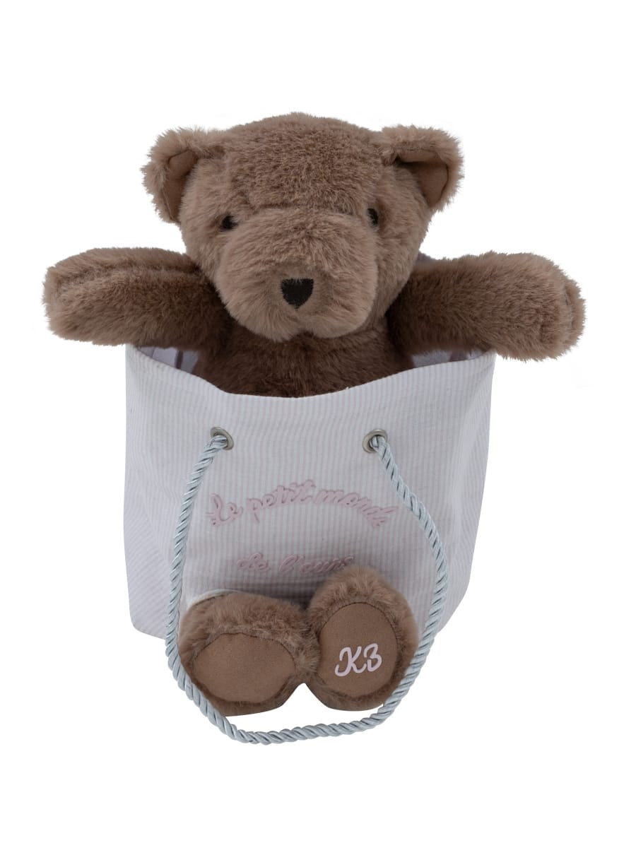 Petit Ours Teddy in a Bag - Pink by KIPP™ Collection