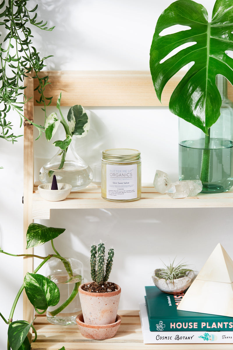 Organic Skin Save Salve jar on a wooden shelf surrounded by plants and books.