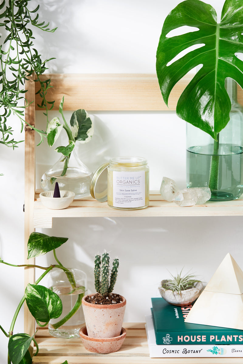 Organic herbal anti-fungal skin salve jar on a wooden shelf with plants.