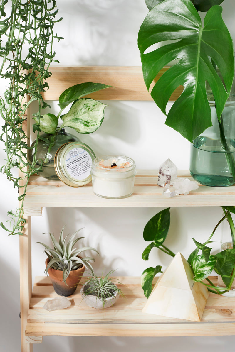 Organic soy candle with crystals on wooden shelf surrounded by green plants for space clearing.