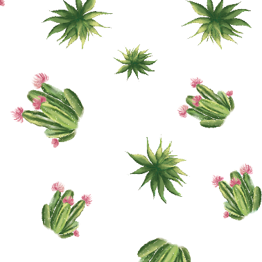 Organic Succulent Bamboo Quilt by LollyBanks at Everetts Place