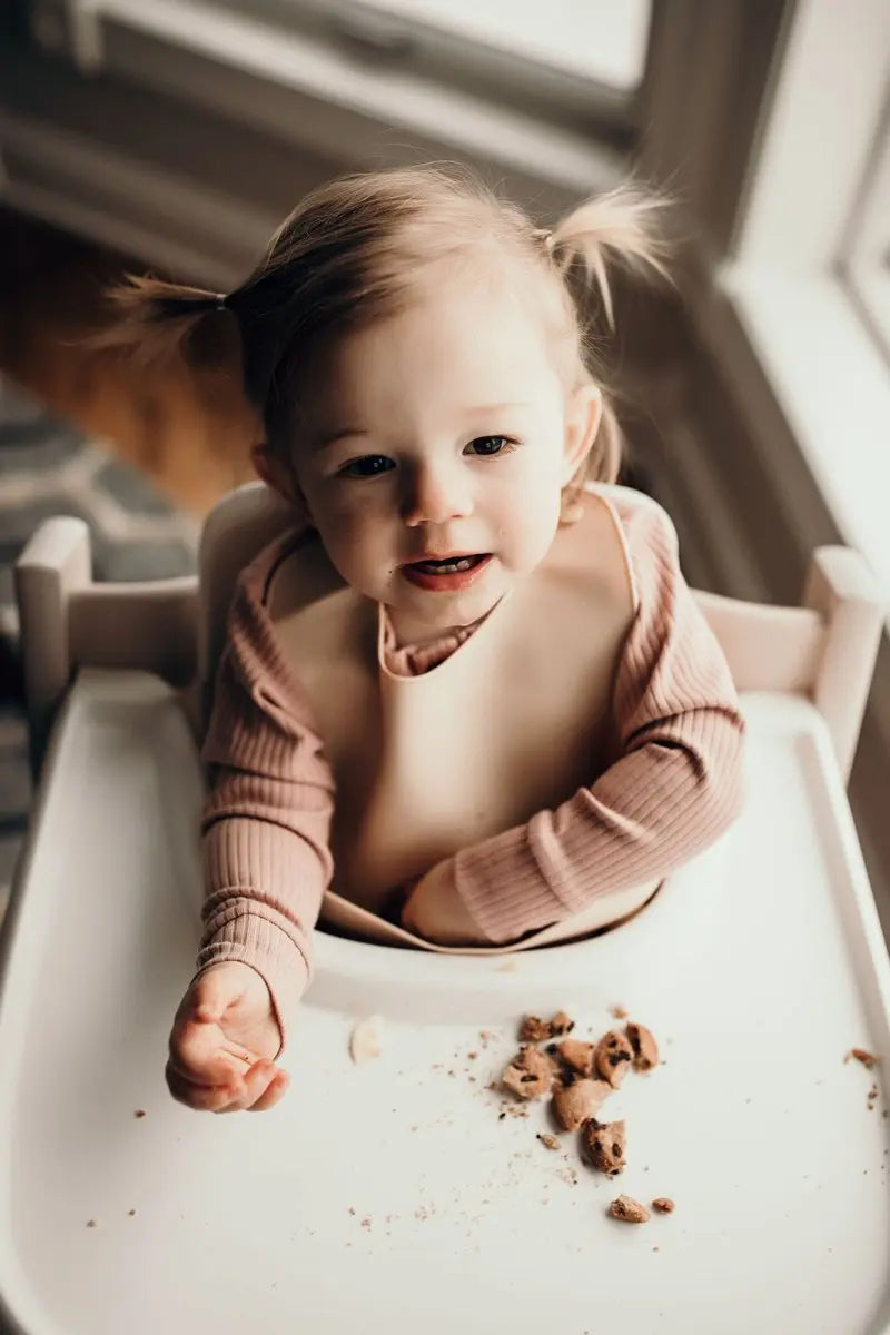 Three Little Tots Sugar Cookie Silicone Bib with Crumb Catcher - 