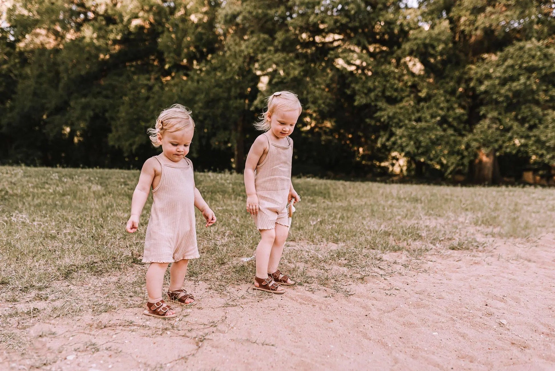 The Charley Little Love Bug Co.