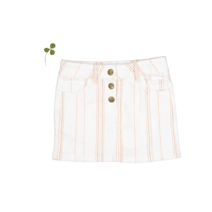 The Denim Skirt - Rose Stripe - Button, A-line, Miniskirt, Skirt | Everetts Place