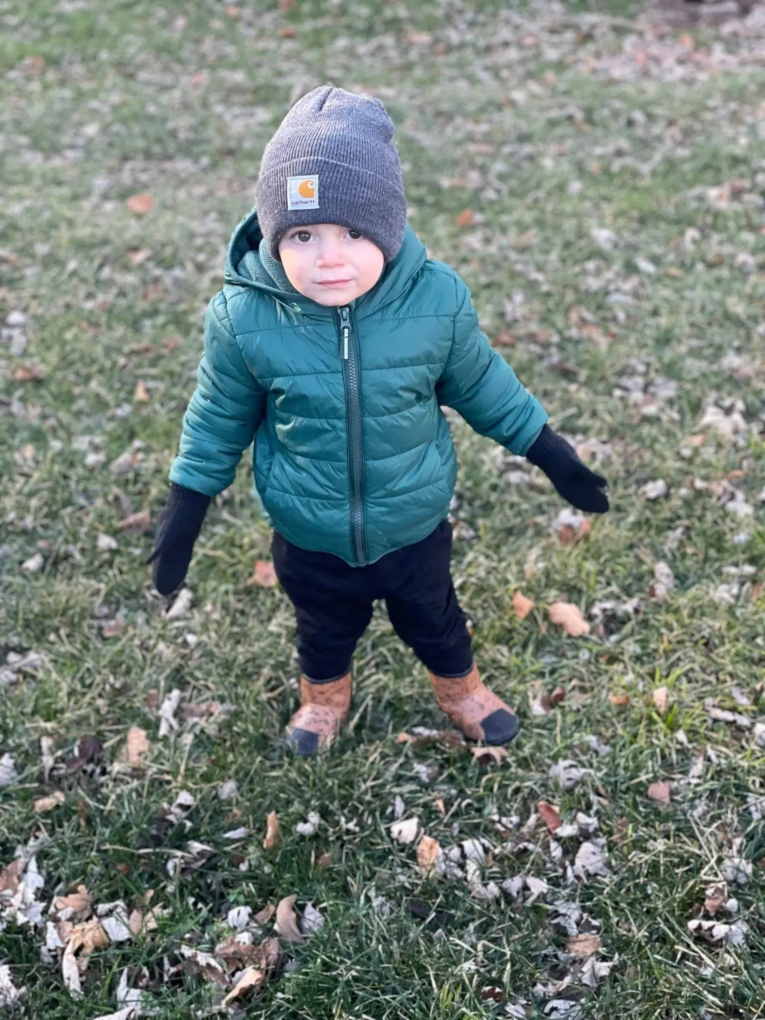 The Dexter Boot Little Love Bug Co.