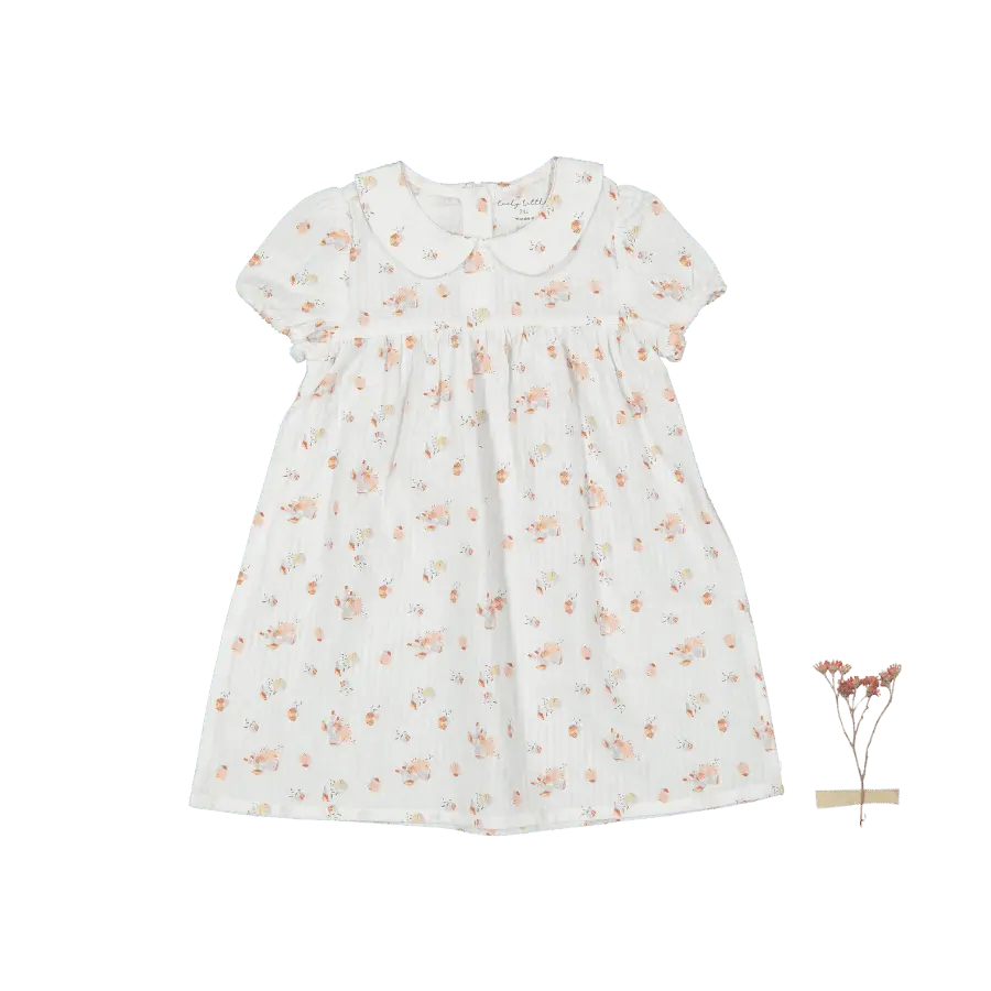 Lovely Littles The Dressy Short Sleeve Collar Dress - Seashell - 
