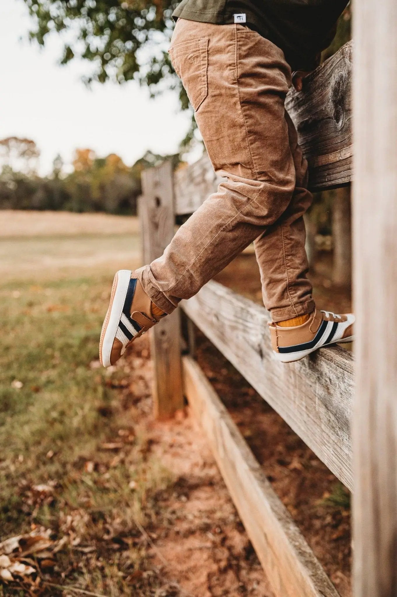 Little Love Bug Co. The Henry Low Top - Apparel & Accessories > Shoes > Baby & Toddler Shoes > Baby & Toddler Sneakers Sneaker