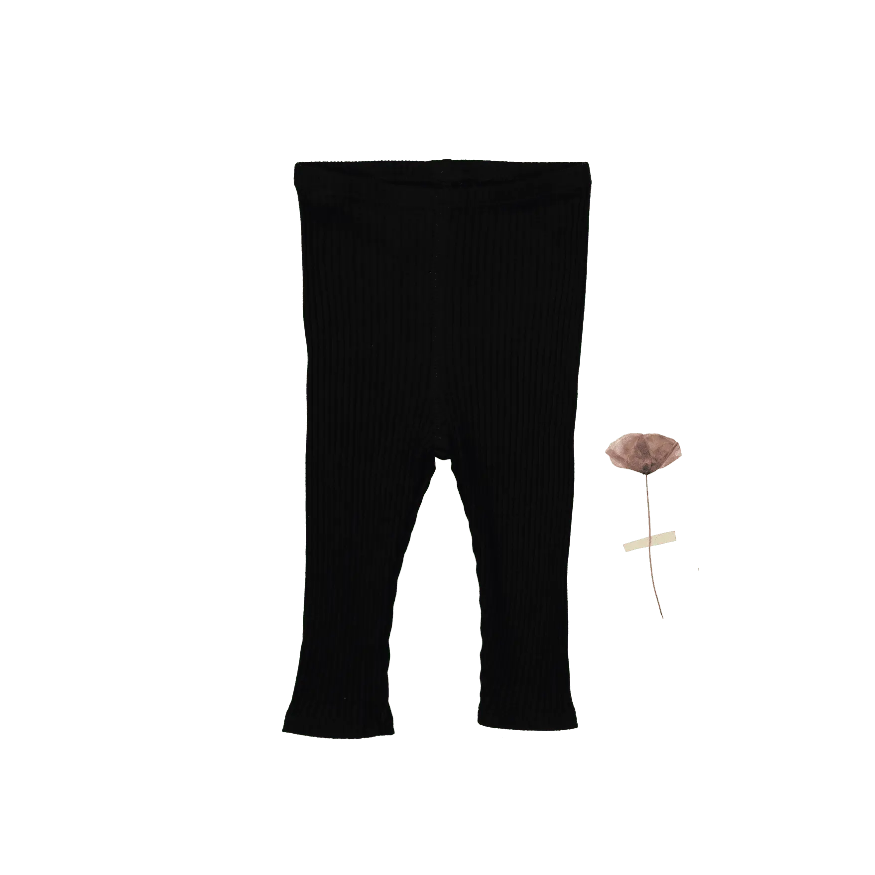 The Legging - Black Ribbed - Pants | Everetts Place